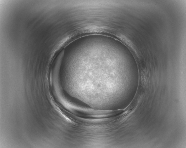 X0000066090581200603101208