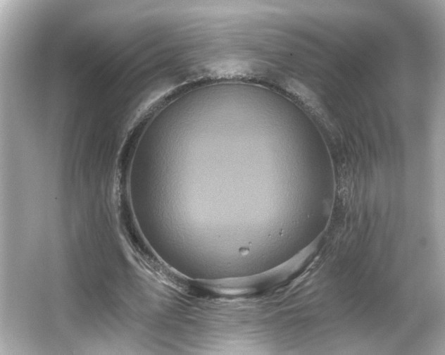 X0000066090583200603101208