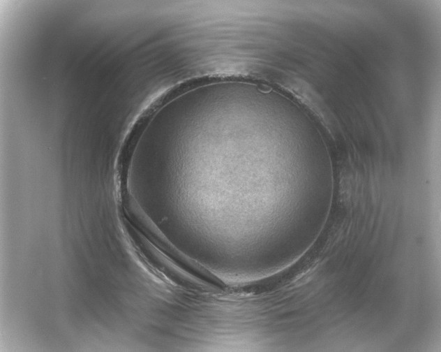 X0000066090584200603101208