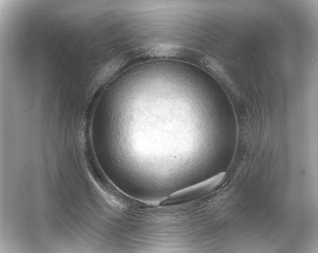 X0000066090586200603101208