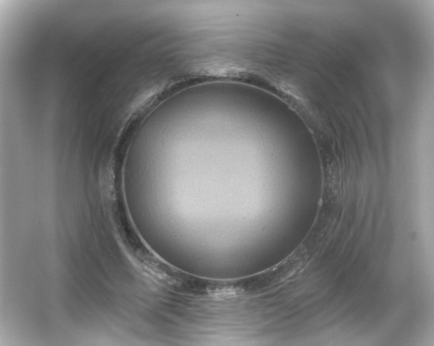 X0000066090587200603101208