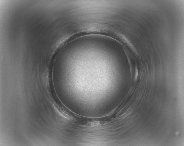 X0000066090588200603101208