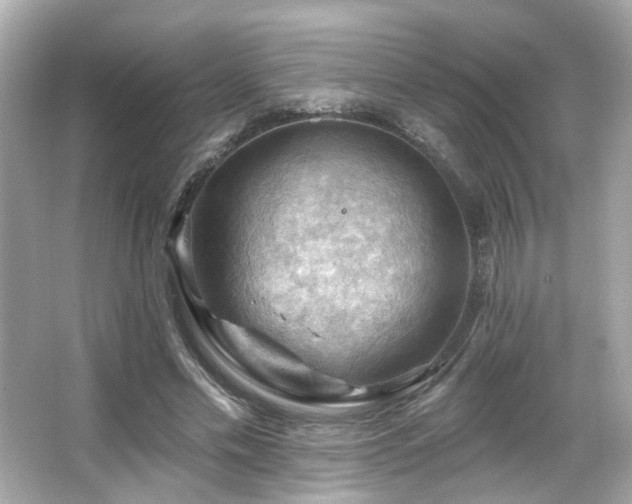 X0000066090589200603101208