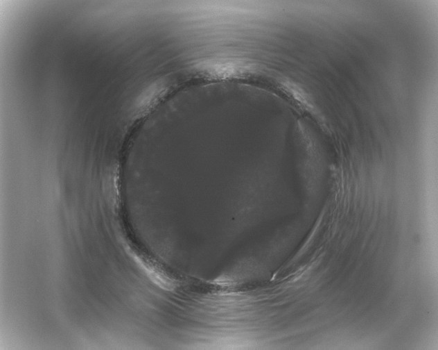 X0000066090590200603101208