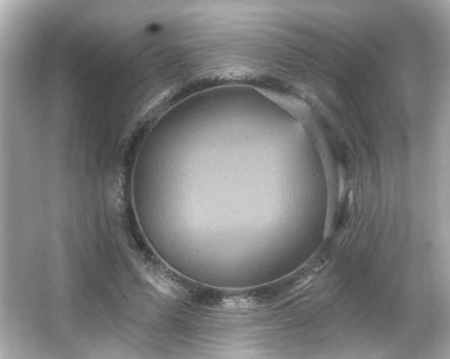 X0000066090591200603101208