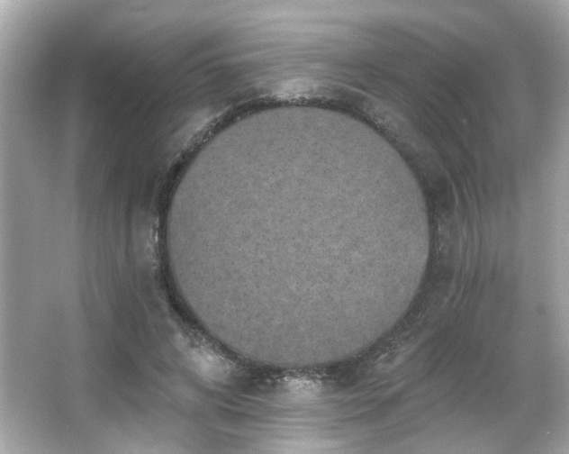 X0000066090592200603101208