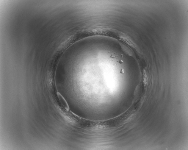 X0000066090593200603101208