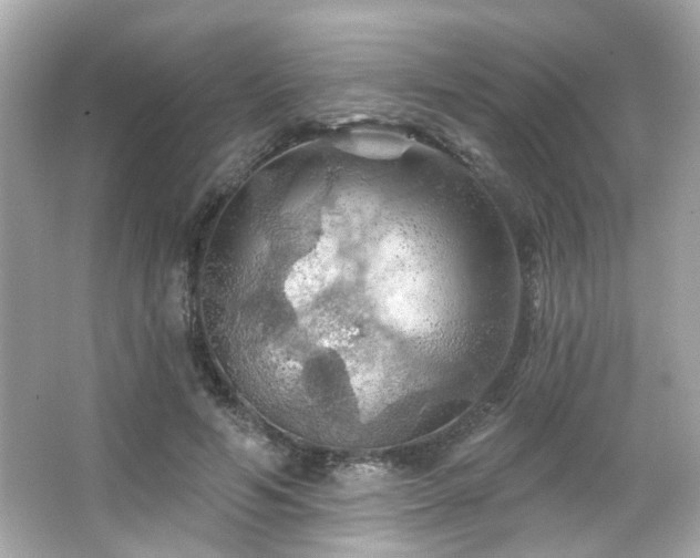 X0000066090594200603101208