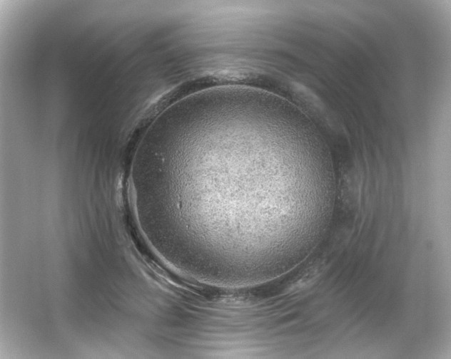 X0000066090596200603101208