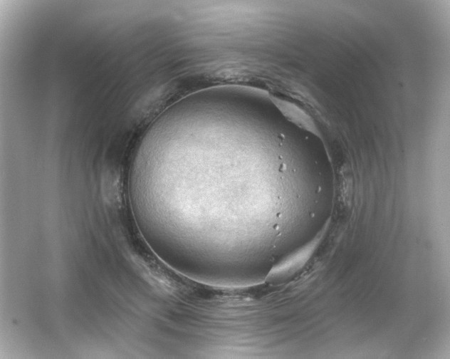 X0000066090597200603101208