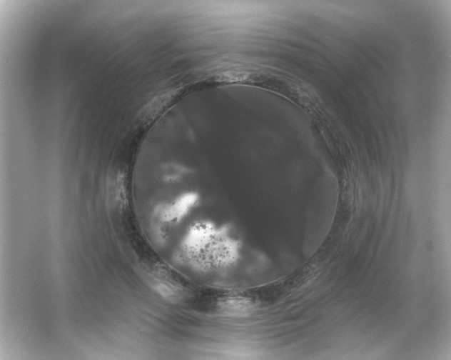 X0000066090598200603101208