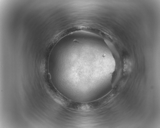 X0000066090600200603101208