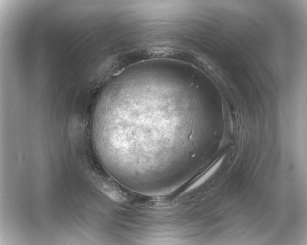 X0000066090601200603101208