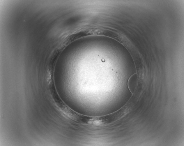 X0000066090602200603101208