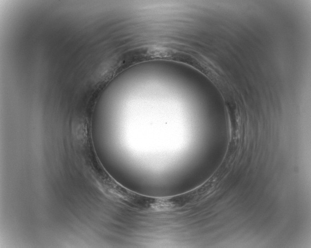 X0000066090603200603101208