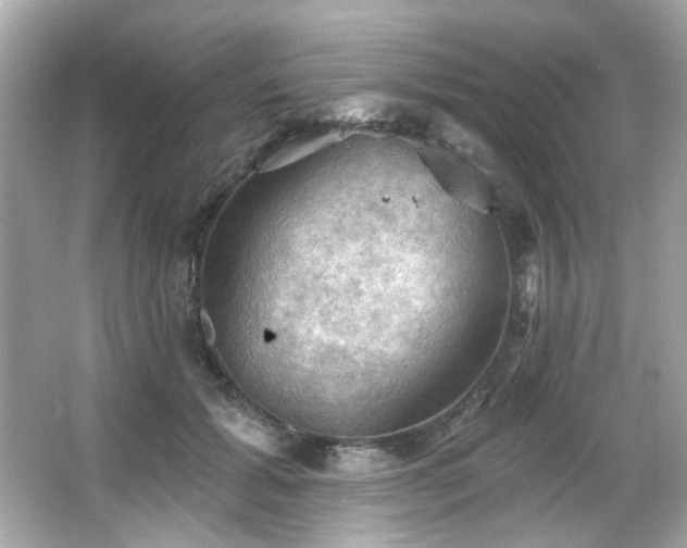 X0000066090605200603101208