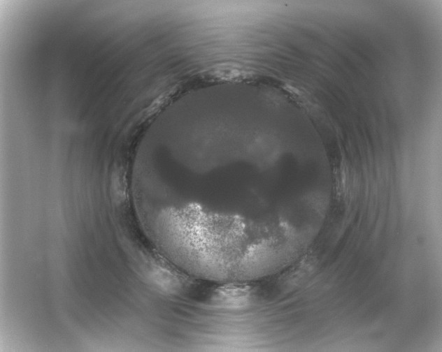 X0000066090606200603101208