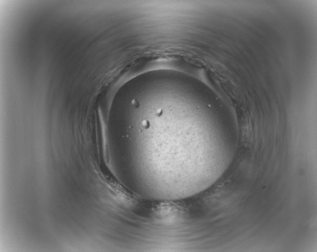 X0000066090608200603101208