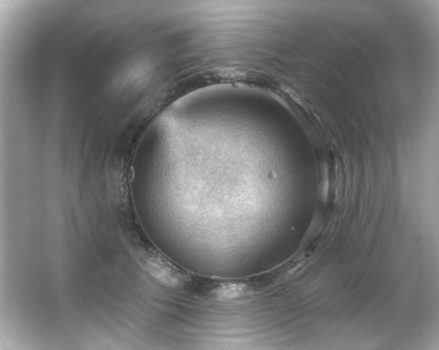 X0000066090609200603101208