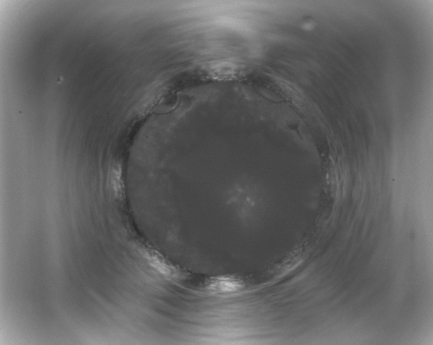 X0000066090610200603101208