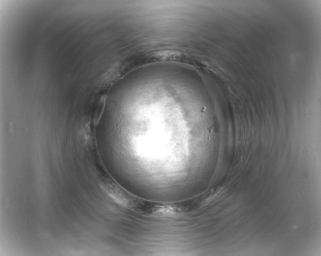 X0000066090611200603101208