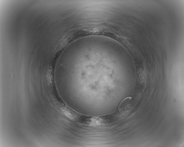 X0000066090612200603101208