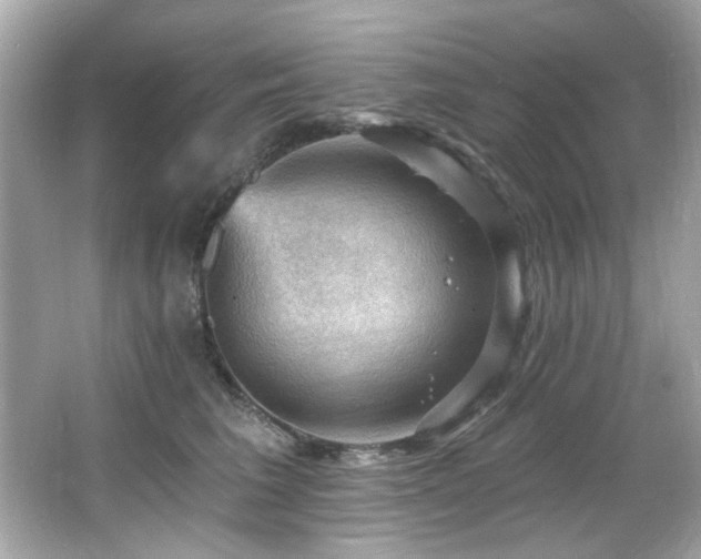 X0000066090613200603101208