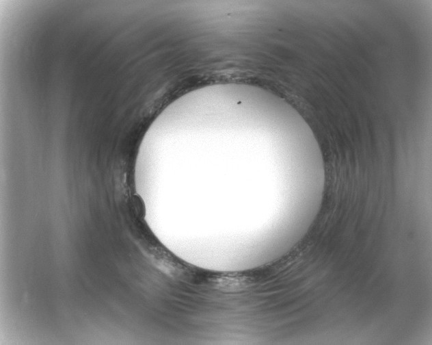 X0000066090615200603101208