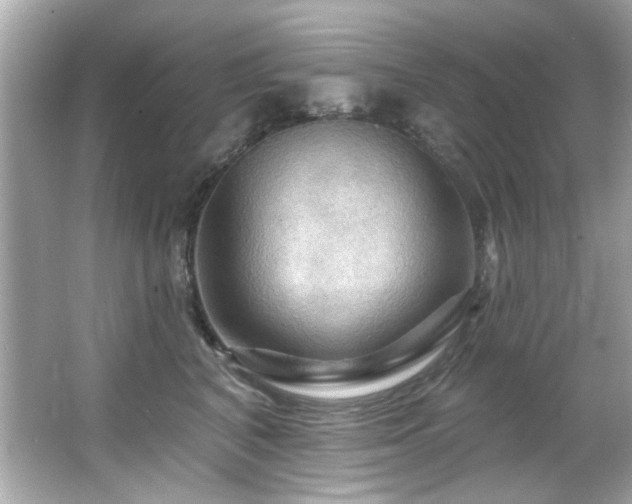 X0000066090616200603101208