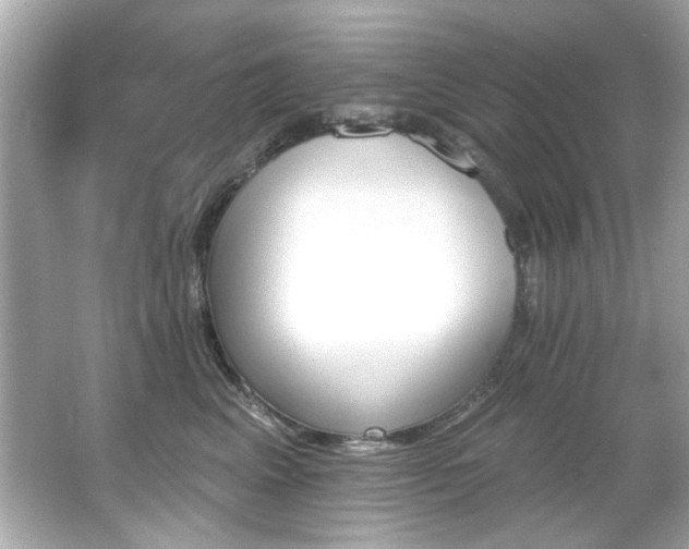 X0000066090617200603101208