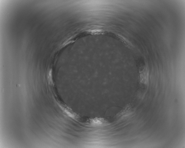 X0000066090618200603101208