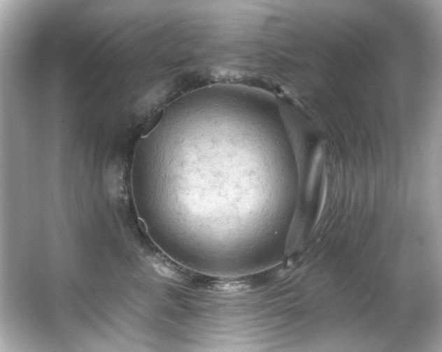 X0000066090619200603101208