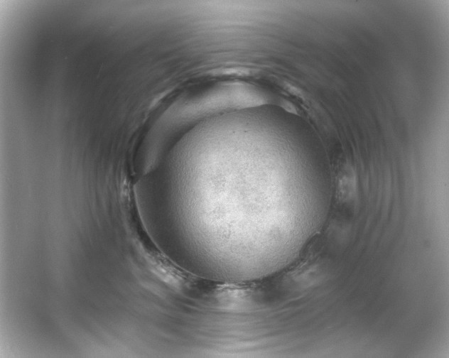 X0000066090620200603101207