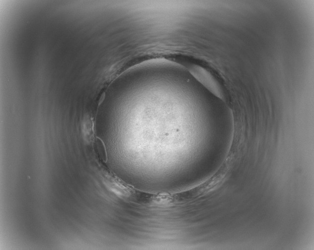 X0000066090624200603101207