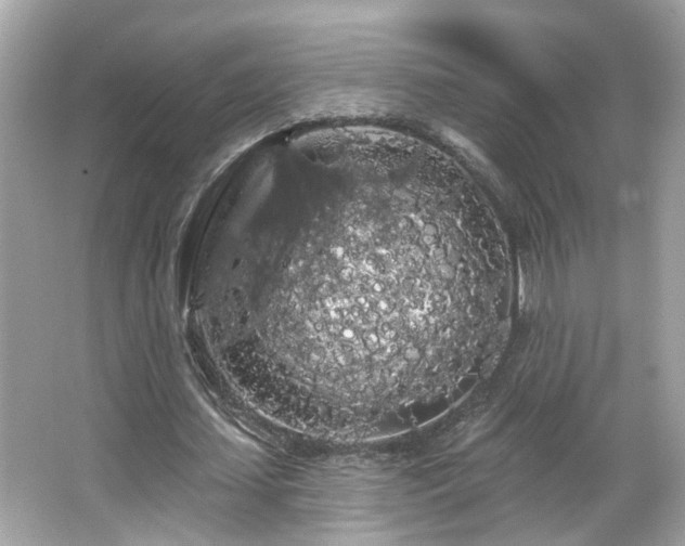 X0000066090627200603101207