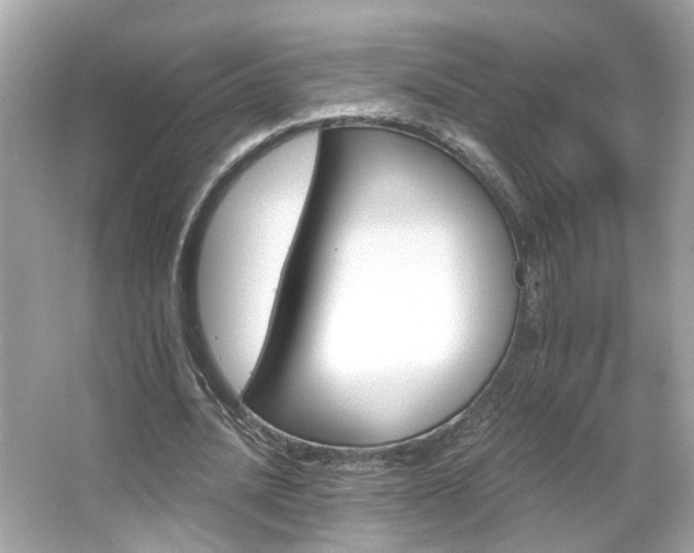 X0000066090628200603101207