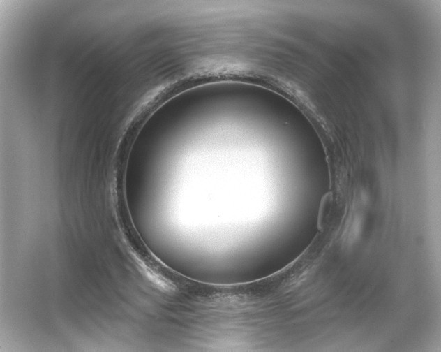 X0000066090629200603101207