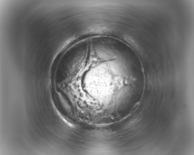 X0000066090630200603101207