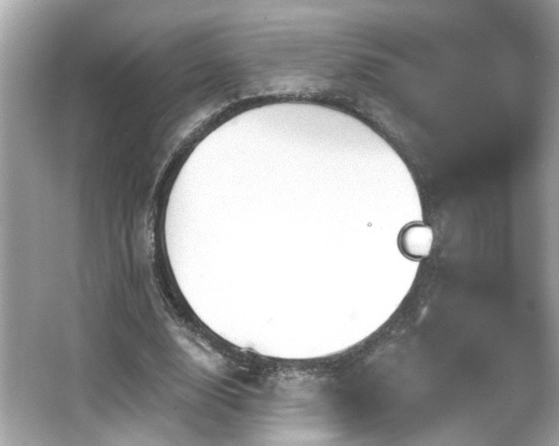 X0000066090632200603101207