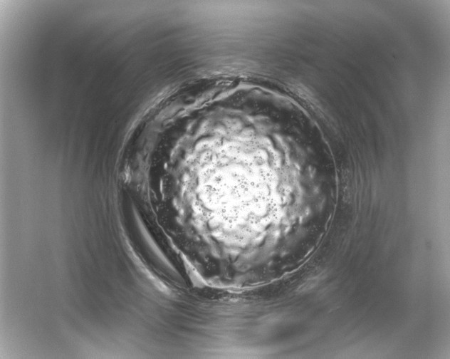 X0000066090634200603101207