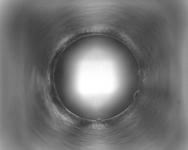 X0000066090636200603101207