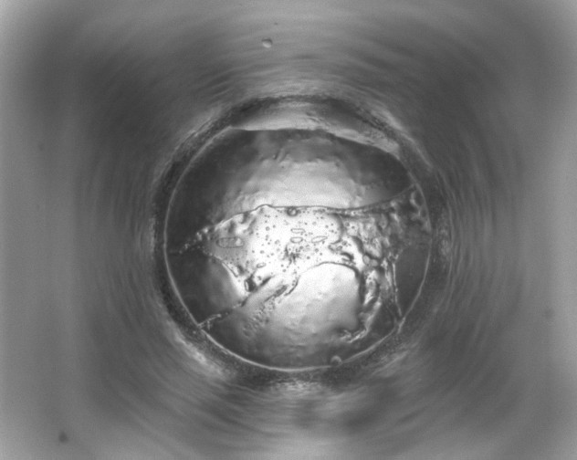 X0000066090637200603101207