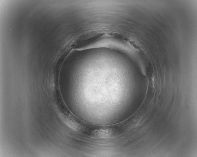 X0000066090639200603101207