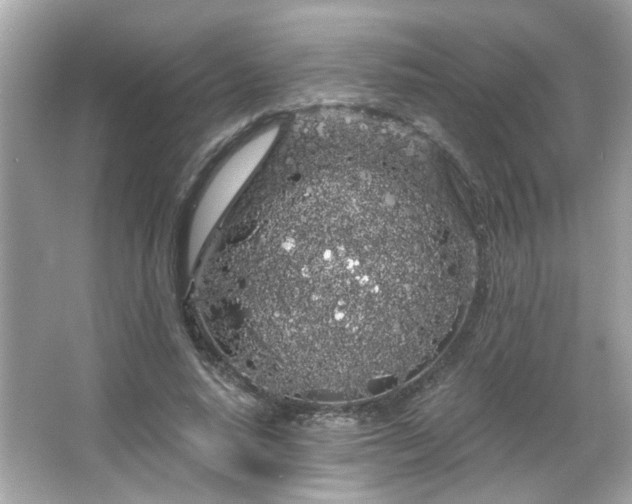 X0000066090640200603101207