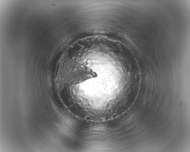 X0000066090643200603101207