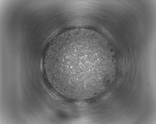 X0000066090644200603101207