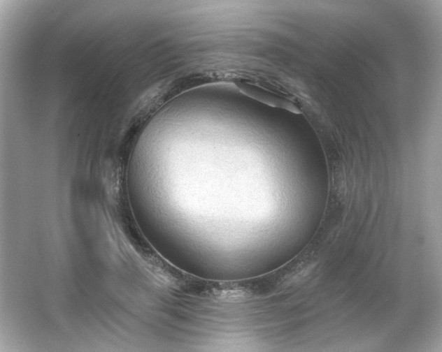 X0000066090645200603101207