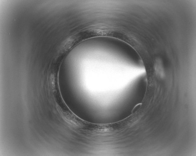 X0000066090646200603101207