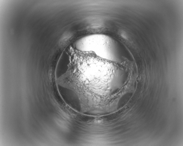 X0000066090647200603101207