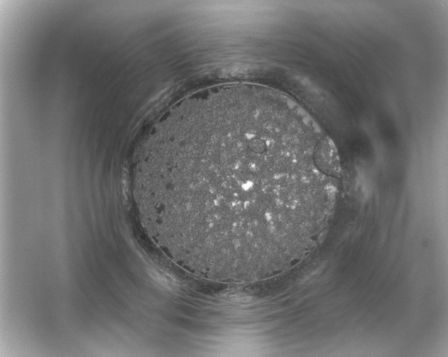 X0000066090648200603101207